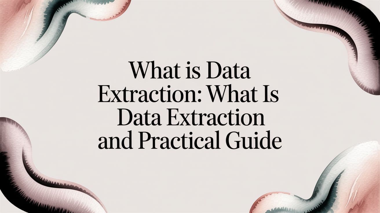 What Is Data Extraction: what is data extraction and practical guide
