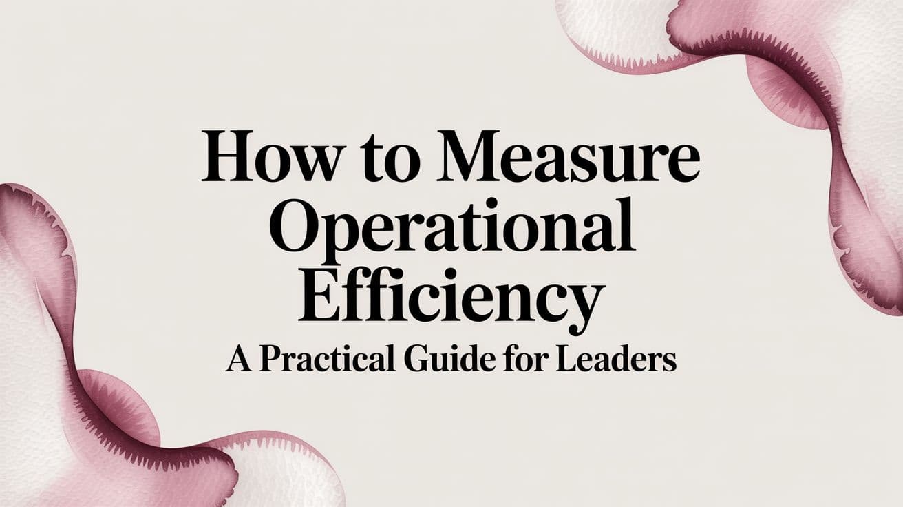 How to Measure Operational Efficiency A Practical Guide for Leaders